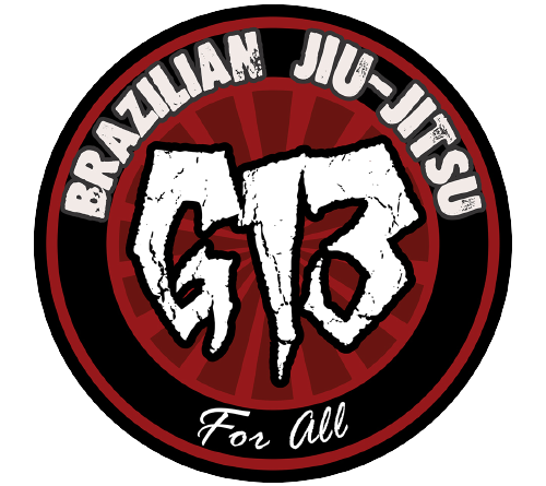 Logo G13